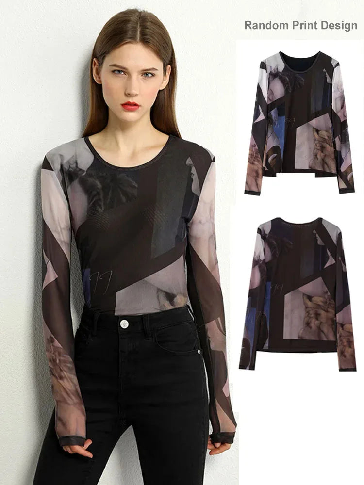 AMII Minimalism Long sleeve T-shirts for Women 2025 Spring New Bottoming Shirt Mesh Printing Inside Slim Trendy Tops 12421003